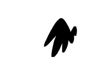 Black wing (test)