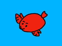 hadi fish