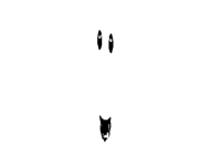 durr