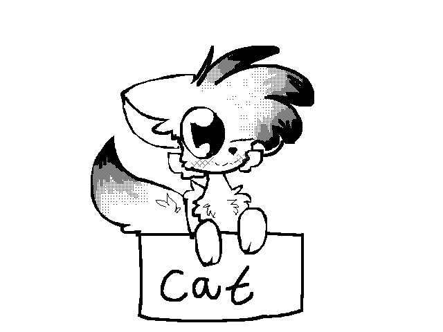 Cat-for-@pug4pres