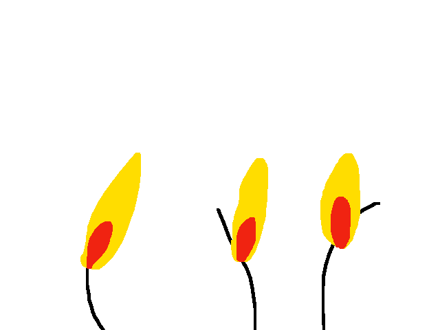 Candle
