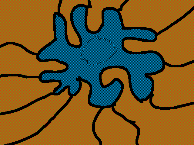 Sorteo se transforman