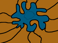 Sorteo se transforman