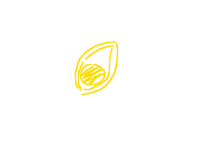 Is it an eye or avocado