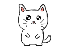 Cute kitten