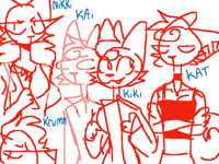 the wild wild k cats