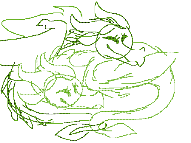 my dragon