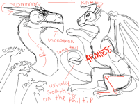 Wyvern study. Inspired by: @rallraxauri