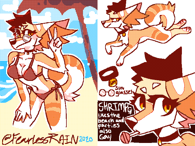 Shrimp