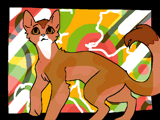 GEUSS THE CAT BREED!