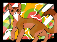 GEUSS THE CAT BREED!
