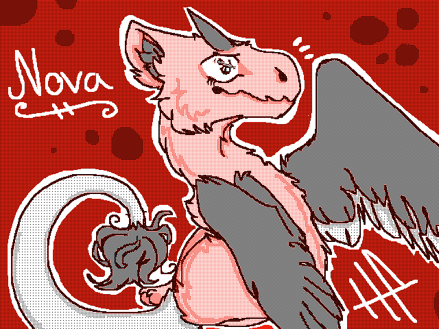 Nova :3