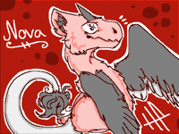 Nova :3
