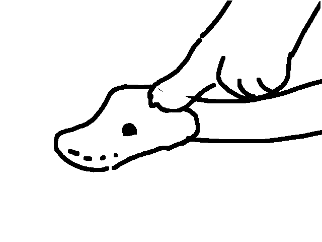pretzels head is super squishy