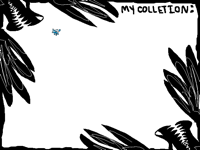 My collectables collection