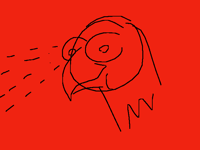 eagle eyesight