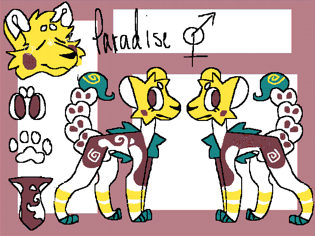 winner of paradise dta
