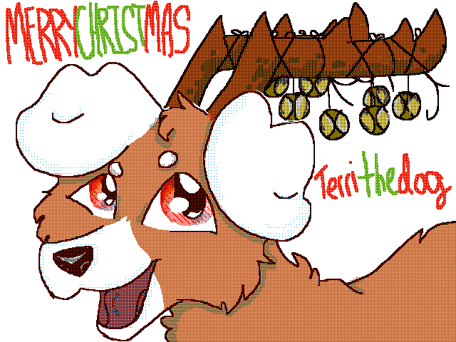 Merry Christmas @terri_the_dog
