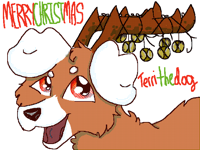 Merry Christmas @terri_the_dog