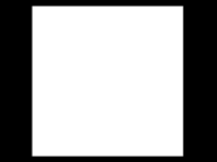 This is the canvas size for the icon pfps