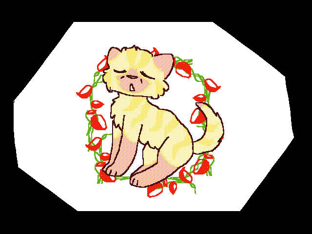 Cookie