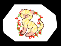 Cookie