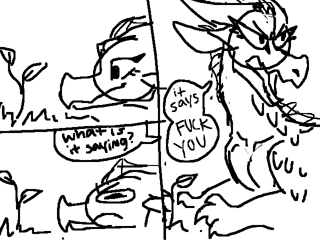 sundew is a mood