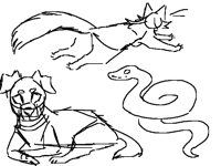 doodle of my animals