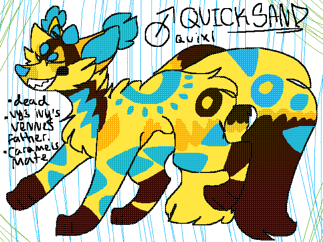 QUICKSAND REFF 2019