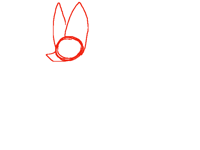 this just looks wrong,