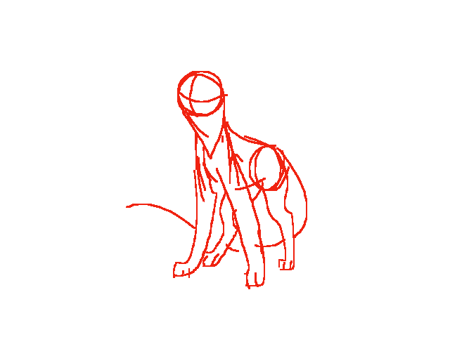 TINFOXES COMING SOON, GET READY! 20%