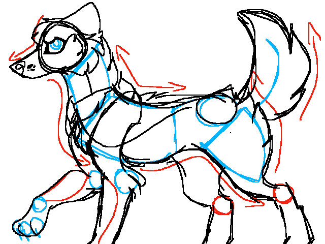 Wolf posture QNA