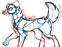 Wolf posture QNA