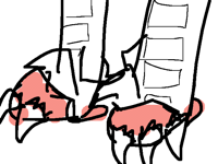 heres your slippers, they uh.. might not fit well