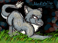 Needletail :3