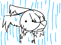 wet