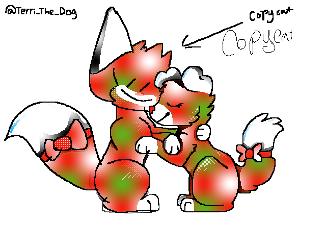 Faith THE C O P Y C A T @Terri_the_dog