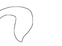 Tail