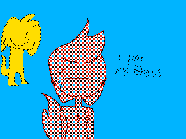 Who use stylus