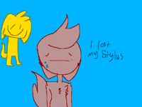 Who use stylus