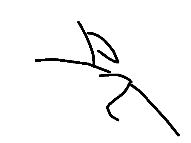 I made this with my left hand lol.