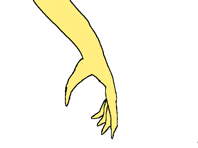 my first still image