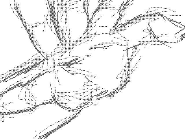 Whoops, dropped the camera