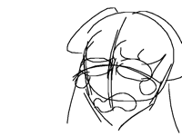Sinus