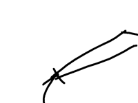 ループ