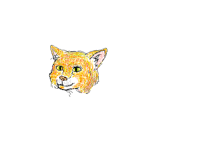 I drew my cat