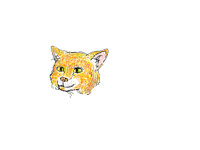 I drew my cat