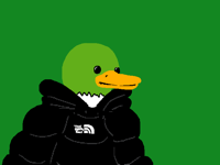 The bro duck