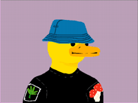 Dang duck