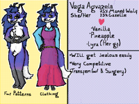Vega Agvazela